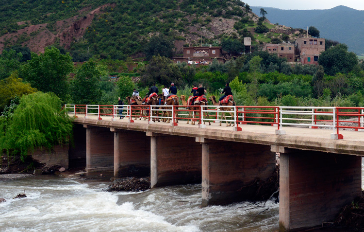 paseo en camello, marruecos